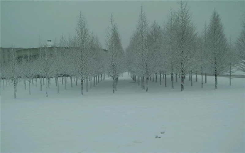 雪中报告厅