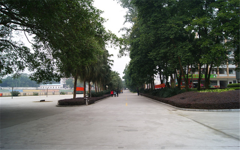 学院道路