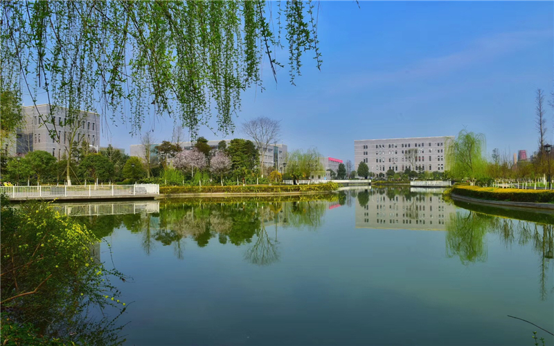 民办四川天一学院4