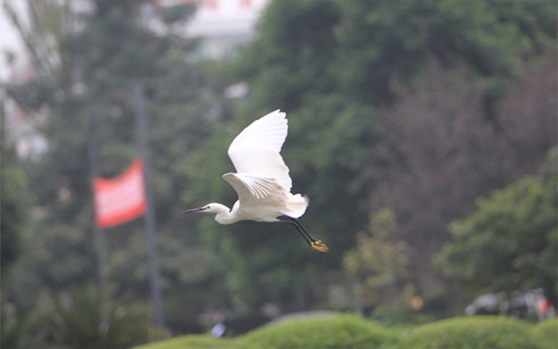 西南石油大学6