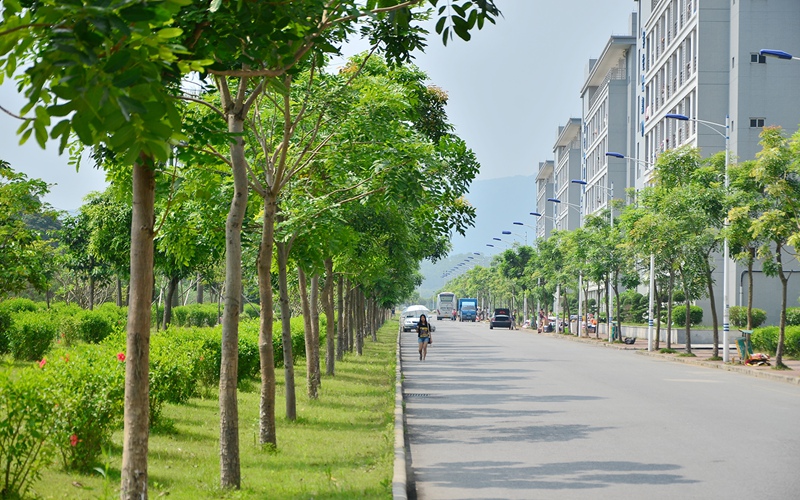 白云校区-校道