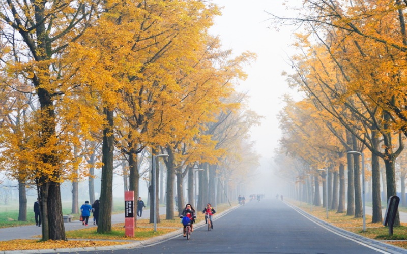 电子科技大学2