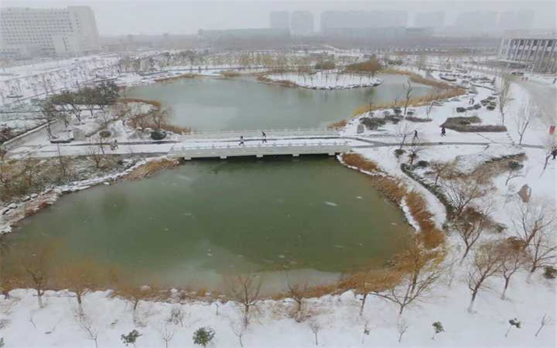 校园雪景