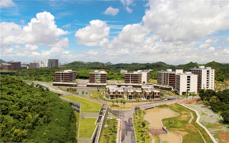 南科大书院全景