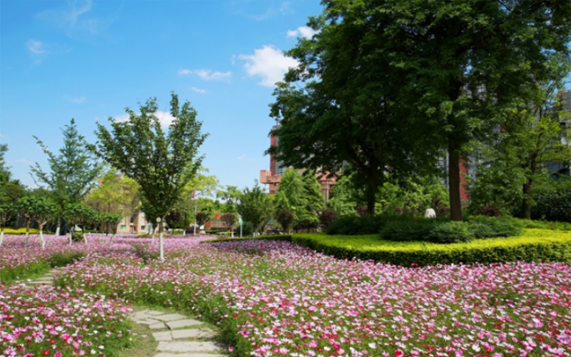 成都中医药大学6