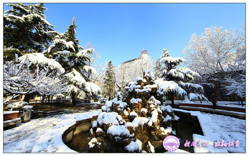 雪景