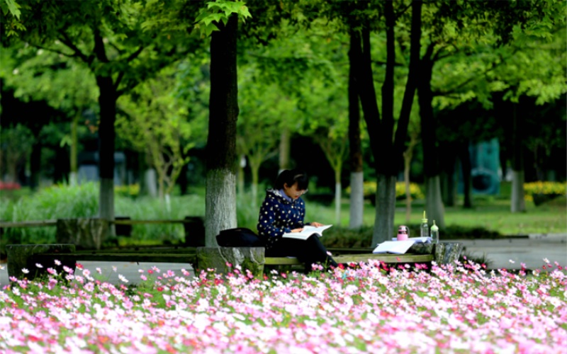 成都中医药大学7