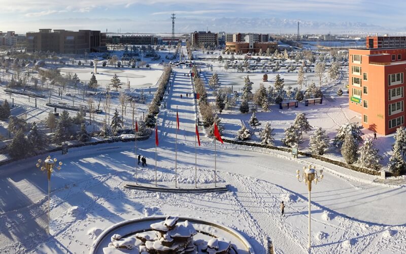 俯瞰雪景