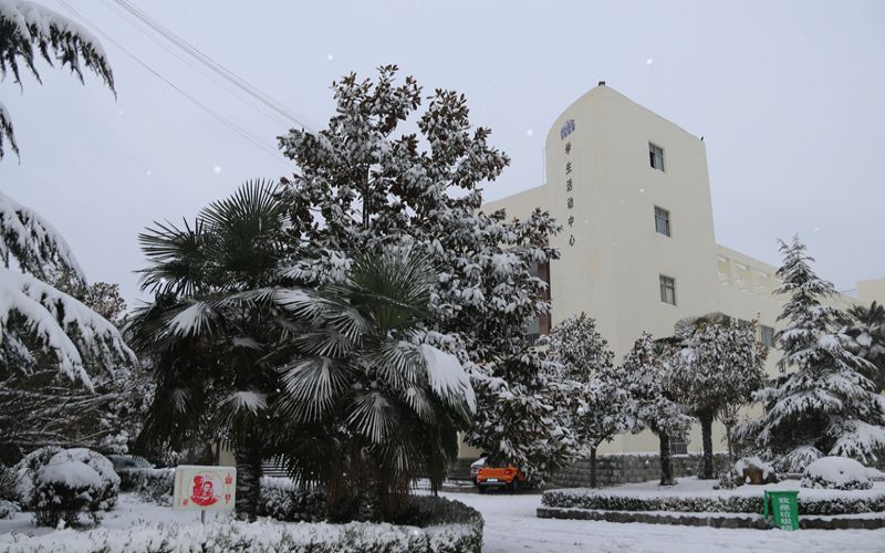 雪景