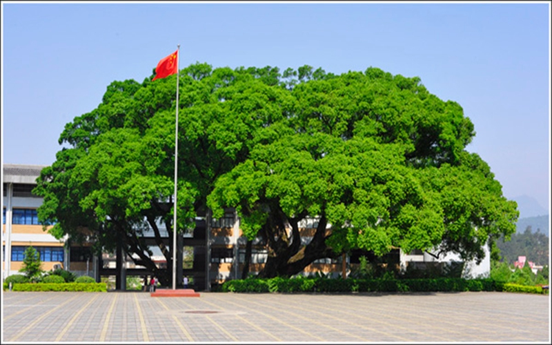 校园风采