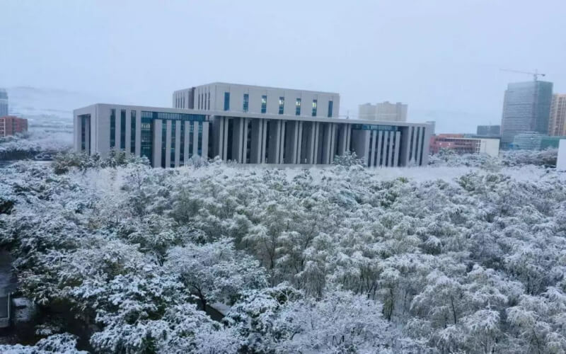 雪景