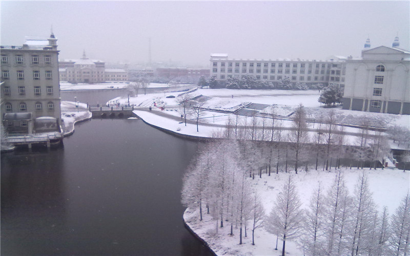 雪景