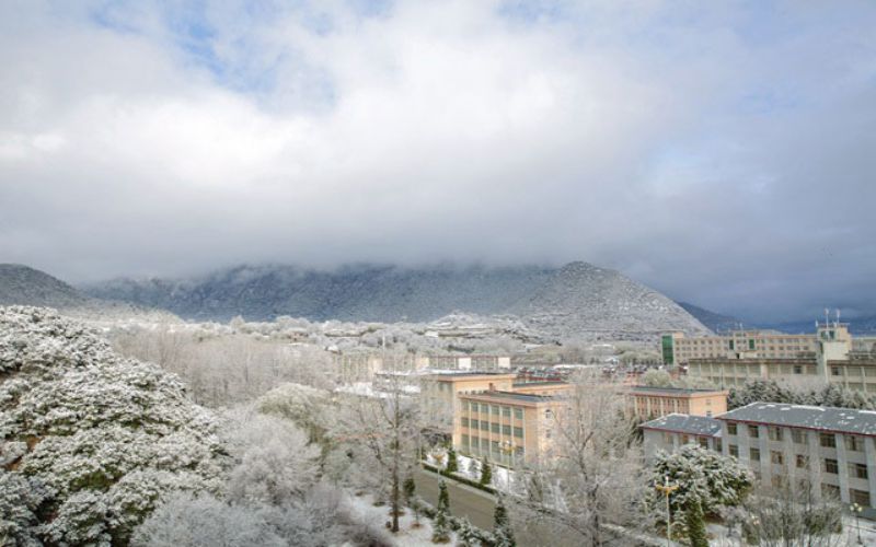 校园雪景