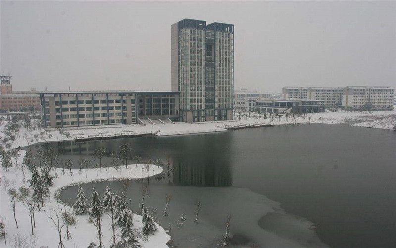 冬日雪景