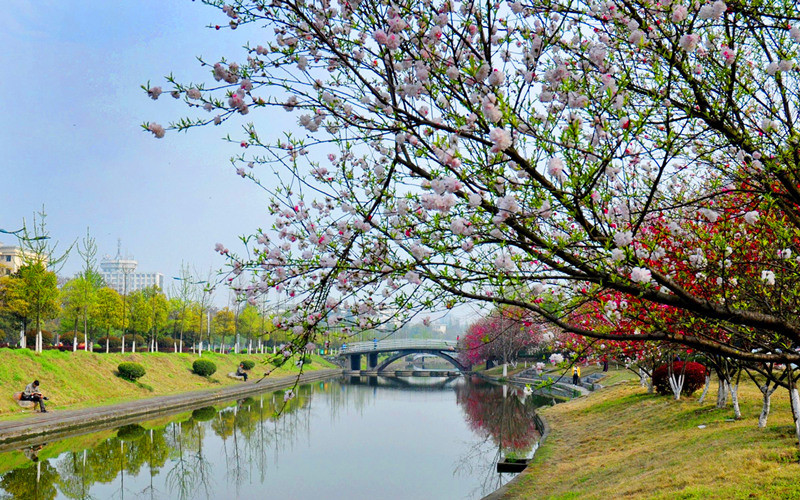 三峡大学求索溪