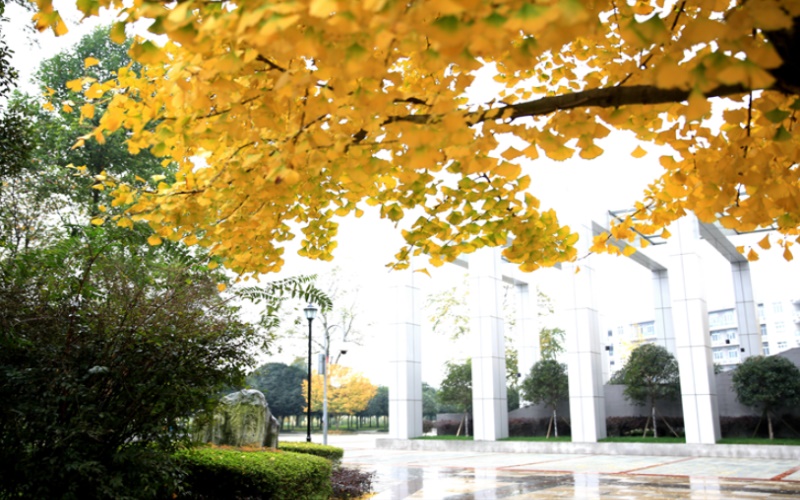 成都中医药大学3