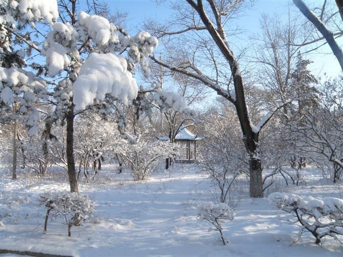 校园雪景