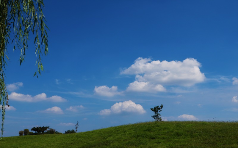 校园风景12