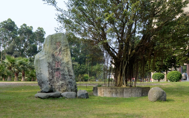 校园风景2