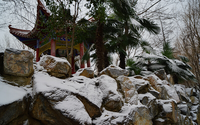 静冬雪飘