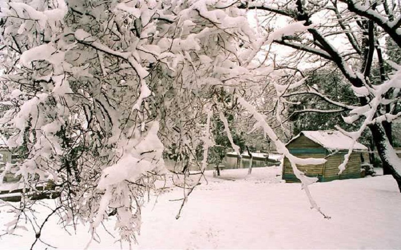 雪景