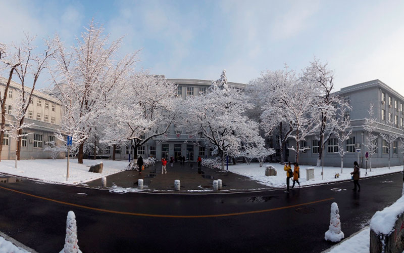 雪后校园